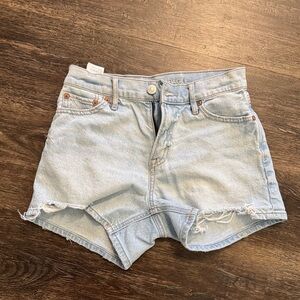 American Eagle Outfitters Light Wash Relaxed Jean Shorts